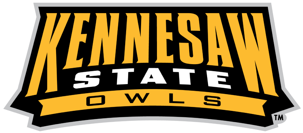 Kennesaw State Owls 2012-Pres Wordmark Logo t shirts iron on transfers v2